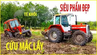 ĐẸP KENG MF 690 Cứu MÁY CÀY MẮC LẦY BELARUS 825 Kéo 1 Phát Là Ngon ở Tây Ninh