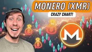 Прогноз цены Monero XMR | Может ли XMR достичь отметки в 1000 долларов?!