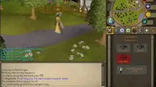 Runescape - How to make money on lower levels/ Shrillypanda - level 3 skiller - progress vid 5!