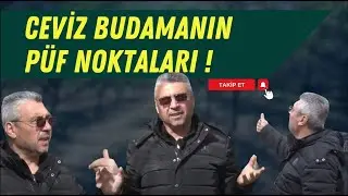 CEVİZ BUDAMANIN PÜF NOKTALARI | İBRAHİM BALKAL İLE CEVİZ SAATİ