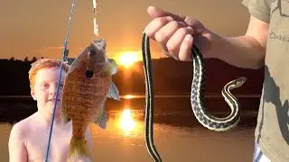 🚤 🐍 CANOE CAMPING CRITTER CATCHIN' 🐟🚤  - vlog e107