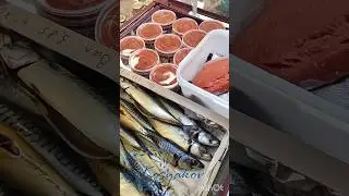 Chinook salmon #chinook