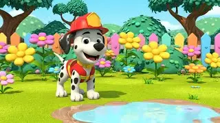 Paw Patrol Puppies Got Stuck in Big Mud | Nursery Rhymes for Kids