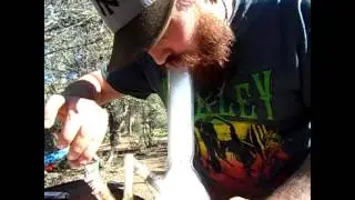Hit of the day: danny kush, camp scheideck, dream cookies dab