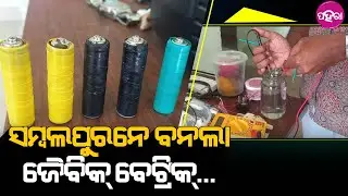 Organic Battery: ସମ୍ବଲପୁରନେ ବନଲା ଅର୍ଗାନିକ୍ ବେଟ୍ରିକ୍...ଇ ବେଟ୍ରିକ୍ କେନ୍ତା କାମ୍ କରୁଛେ ଜାନିଛନ୍?