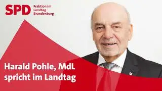 Harald Pohle spricht zu internen Meldestellen im kommunalen Bereich