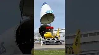 Beluga перевозит SPIRIT внутри грузового отсека 😳