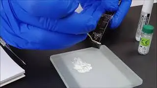 BIO MTA+ Biomateriale per l'otturazione e la ricostruzione dei canali radicolari
