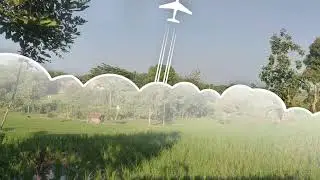 Menikmati Pemandangan Sawah dan Perjalanan Pulang yang Tenang 🌾🚶‍♂️