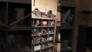 My Vice Collection