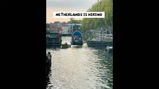 Work in the Netherlands: English Jobs & 3&ndash;6 Week Visa Approval!🌍💼 #internationaljobs #netherlands