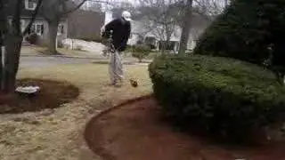 Edging with Redmax Trimmer