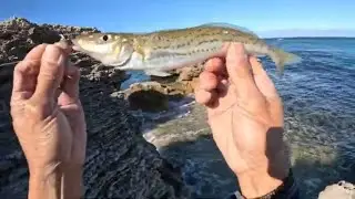THIS SPOT ALWAYS HOLD GOOD FISH