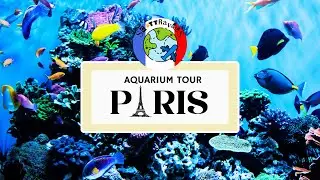 🐠 PARIS | Aquarium de Paris Tour #aquarium #jellyfish #shark #lobster #fish #animals #paris #france