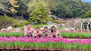 2026/1/17 衫林溪⛰️吸收日月精華🥰🥰