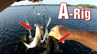 How To Fish an Alabama Rig for Summertime Bass (Umbrella Rig)