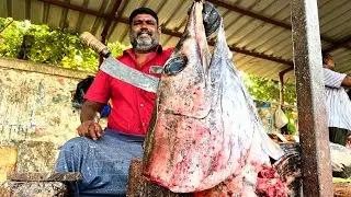 #50KG BIG PANNI KOLA FISH HEAD CUTTING KASIMEDU MINNAL RAJA #KASIMEDU MEENGAL