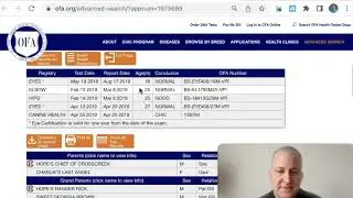 Тестирование здоровья щенков. Тестирование OFA.