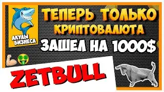 ZETBULL.COM - РАБОТАЕТ ТЕПЕРЬ ТОЛЬКО С КРИПТОВАЛЮТОЙ | ЗАШЕЛ НА 1000 USDT / #ArturProfit