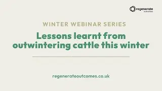 Webinar: Lessons learnt from outwintering cattle this winter
