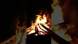 Cozy Campfire, Fireplace, fire, burning, flames, fire, fire pit camping, burn, dark, calming, asmr 🔥