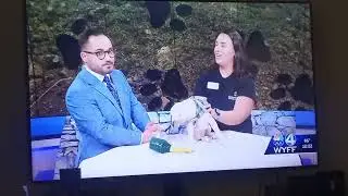 PLOP PLOP FIZZ FIZZ RUN RORY RUN TDDB S11 E10