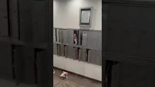Mailboxes Broken into Packages stolen La Nouvelle Apartments 2022