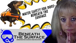 Water Safety For You and Your Dog with Beneath the Surface