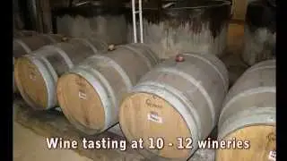 Hunter Valley (wine tasting tour) Private Guided Day Tour