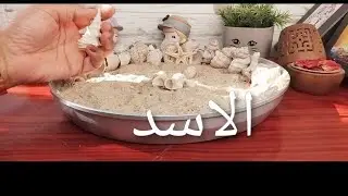 #برج_الاسد✋️💣#فنجانى_لا_يكذب 💯/💯