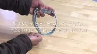Collares para perro, cual es el mejor.
