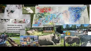 comment  l aventure parc safari Québec visite virtuelle pris par sumsung S22 ultra