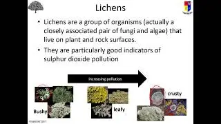 BiN5 LE2f indicator species