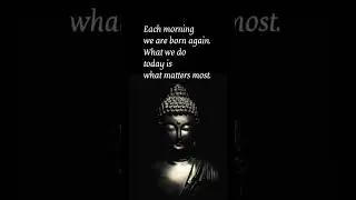 Buddha quotes whatsapp status 🙏 #shorts #buddhaquoteswhatsappstatus