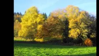 Les Monts d'Ambazac  La Jonchére Saint Maurice Limousin