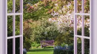 Morning in the Spring Garden | Soft Morning Playlist