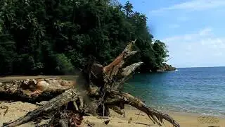 Pantai Naku; Keindahan yang tersembunyi di Pulau Ambon