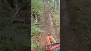 The Craziest Enduro Trail I've Ridden #betaxtrainer #betaxtrainer300 #enduro