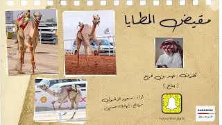 مقيض المطايا - كلمات (فهد بن قريع *بتاع* ) / أداء : سعود الاشول ( الترند الجديد 🔥🔥 )
