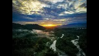 Manu National Park from drone perspective. Discover Amazon Jungle in Peru