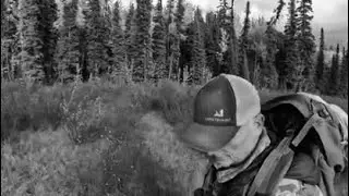 The Sasquatch Want To Communicate With Me?