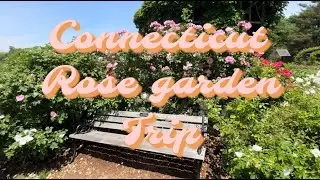 Trip to Hartford Connecticut Rose Garden
