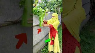 #trending #comedy #shorts #funny fgj