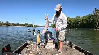 Got To Find a Biggen