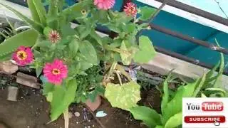 Mobile Camera Testing micromax yureka HD video camera testing and comparision
