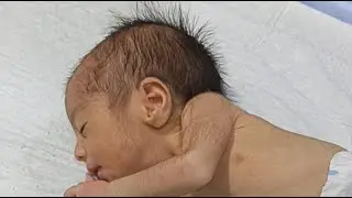 Our NICU Warrior: Live Update From the Neonatal ICU