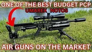 THE BEST BUDGET PCP AIRGUN ON THE MARKET UNDER 300 DOLLARS