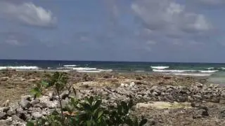 Exploring Coral Reefs in Belize