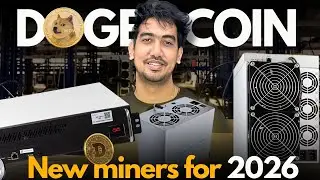 НОВИНКА! Майнеры Dogecoin от ELPHAPEX на 2026 год 💥 DG Mini 2, DG2+ и другие | Crypto Mining India