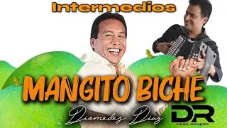 Manguito biche (Puentes o intermedios) Diego Romero Acordeón @diegoromeroacordeon